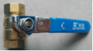 LJ100100001 - Water Valve Body